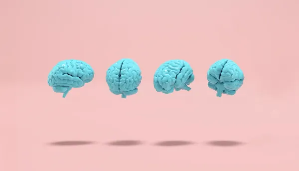 Blau gefärbte menschliche Gehirne, die auf rosa Hintergrund schweben.