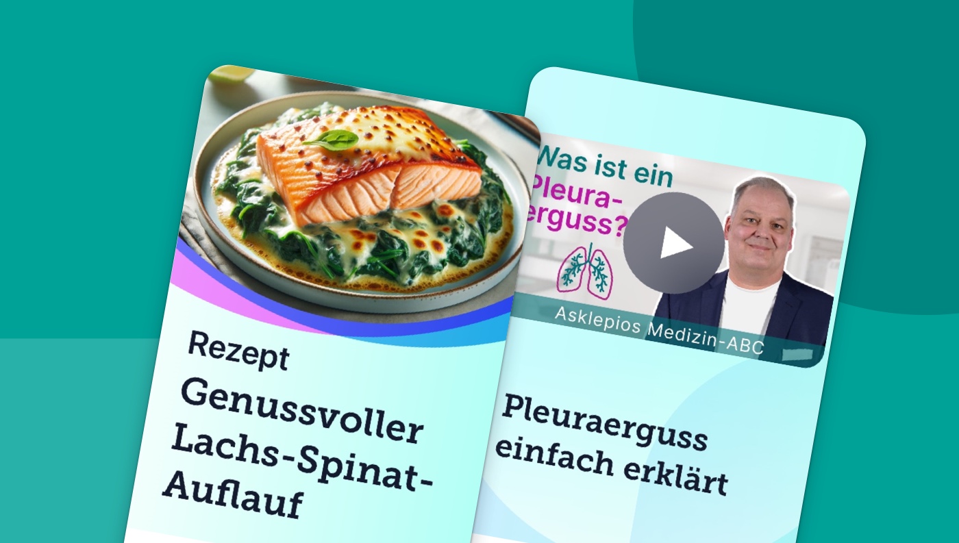 Bild der neuen Kategorien Ernährung und Videos